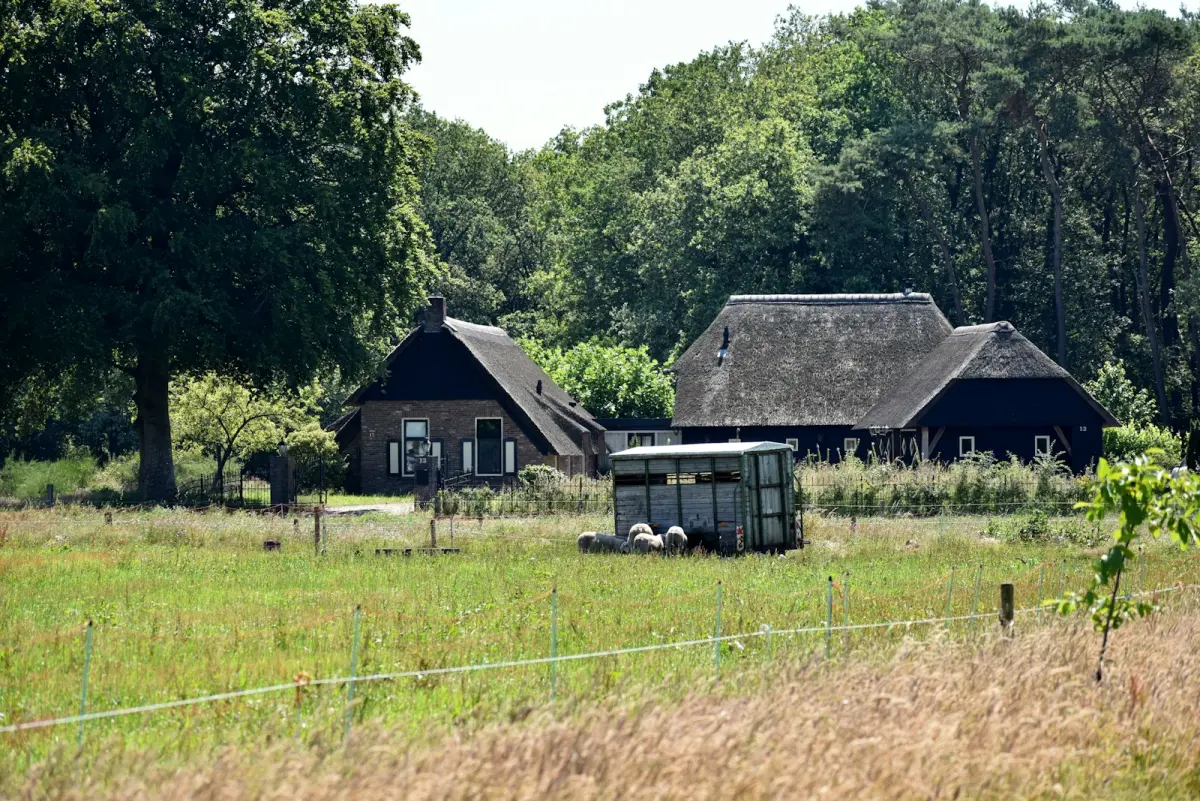 Stroomstoring buitengebied Drenthe: aggregaat of